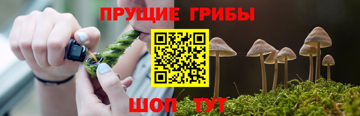Спасск-Дальний  Галлюциногенные грибы Magic Shrooms  Псилоцибиновые грибы Magic Shrooms  Вход с VPN 